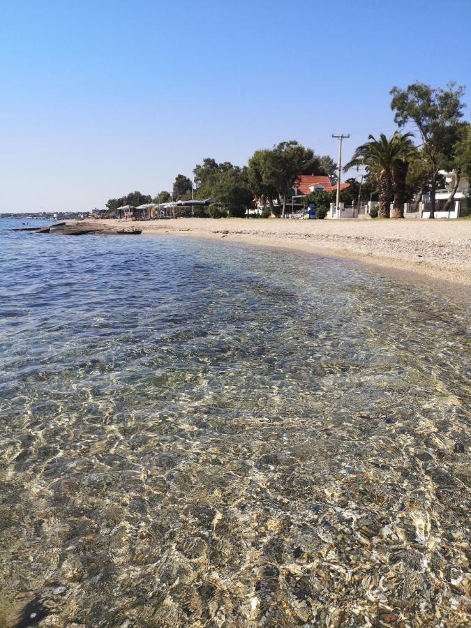 Aegean Sea Home Néa Mákri Buitenkant foto